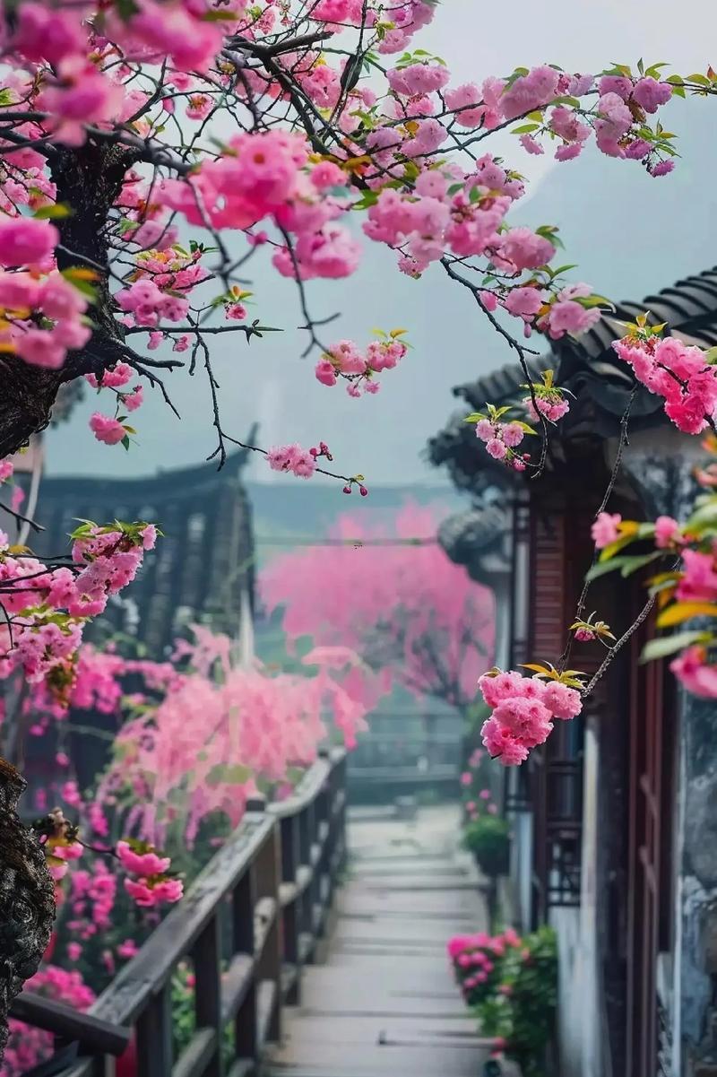 玉門桃花