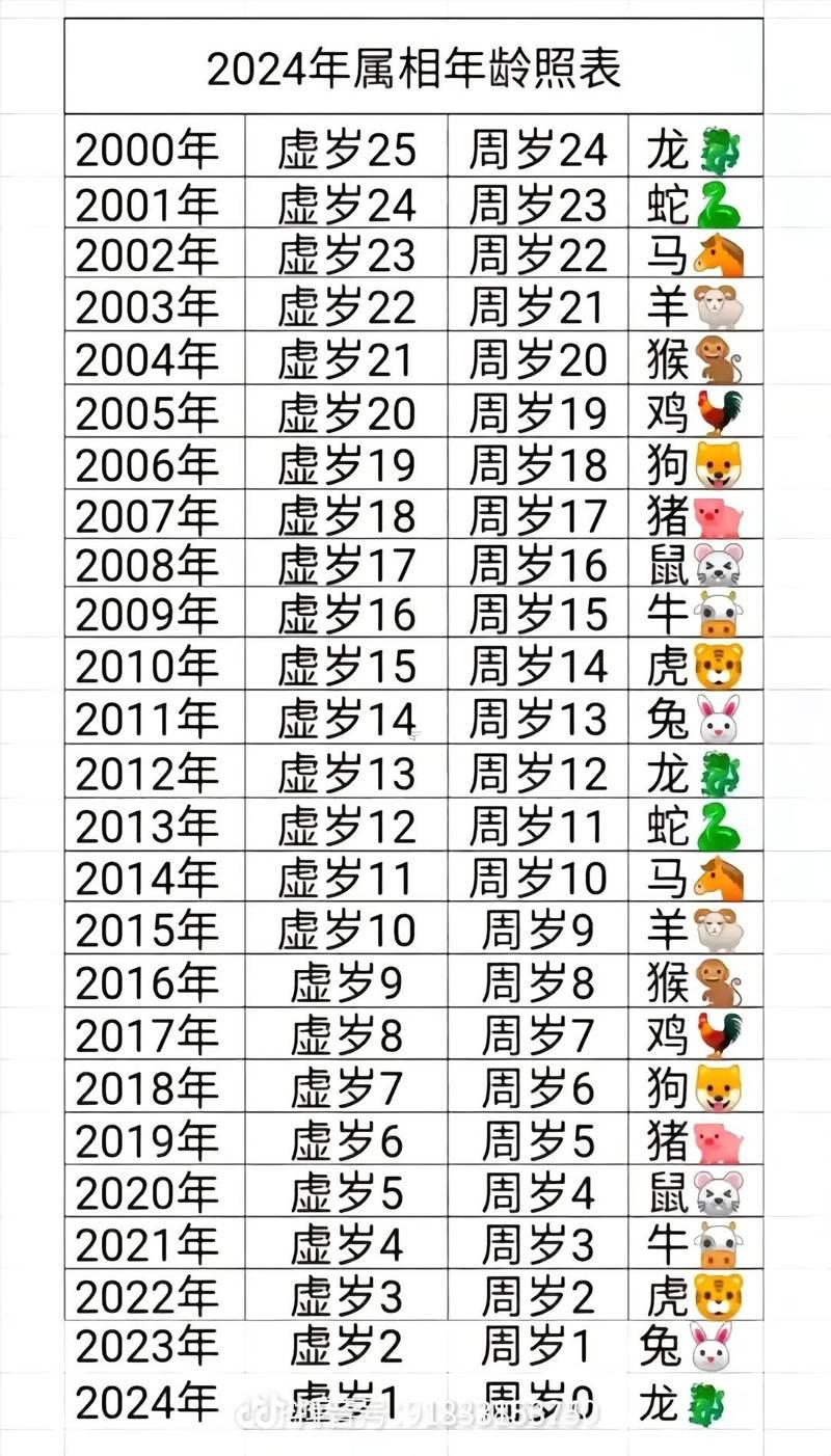 2004年屬啥