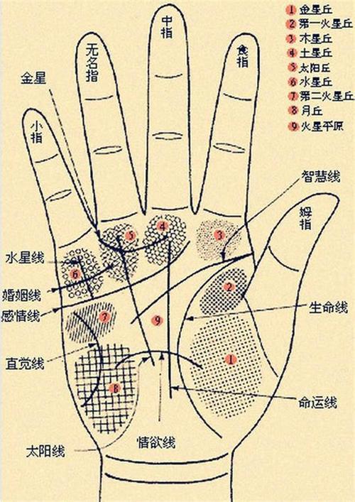 怎樣看手相