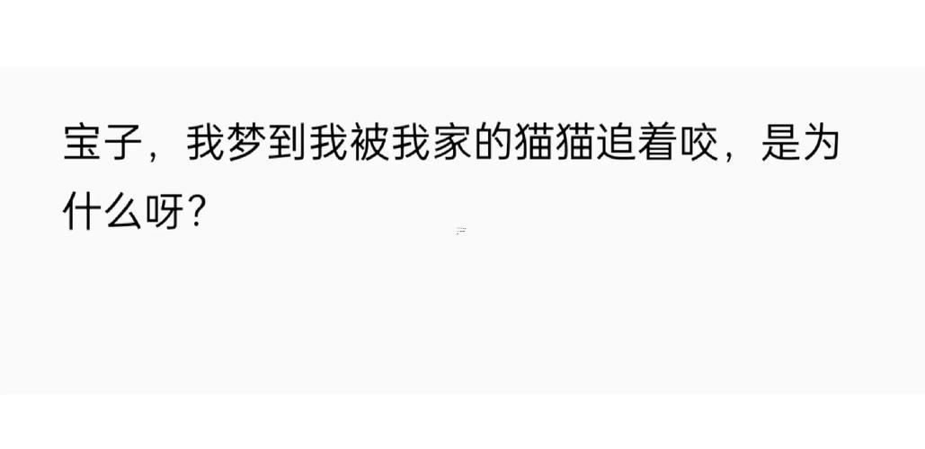 夢到貓咬我
