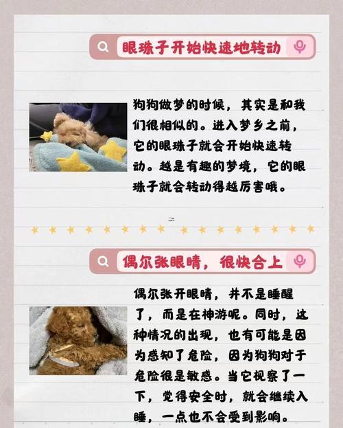 周公解夢(mèng)狗