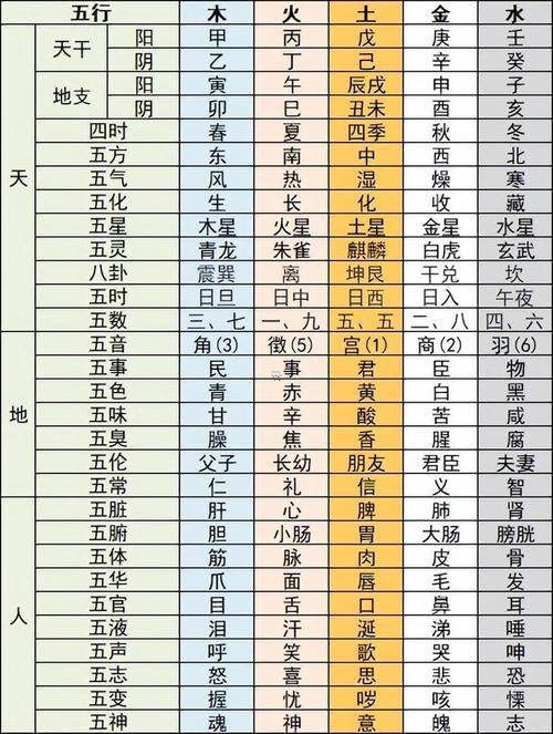 1977年五行屬什么