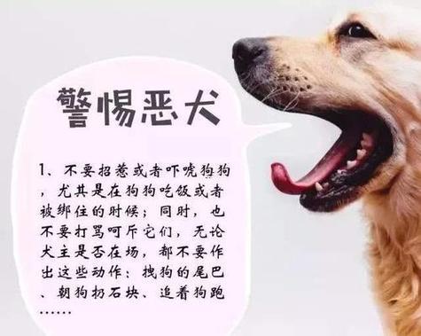 夢見被狗咬出血了