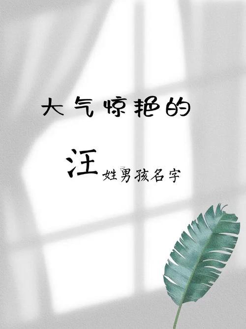姓汪的男孩名字