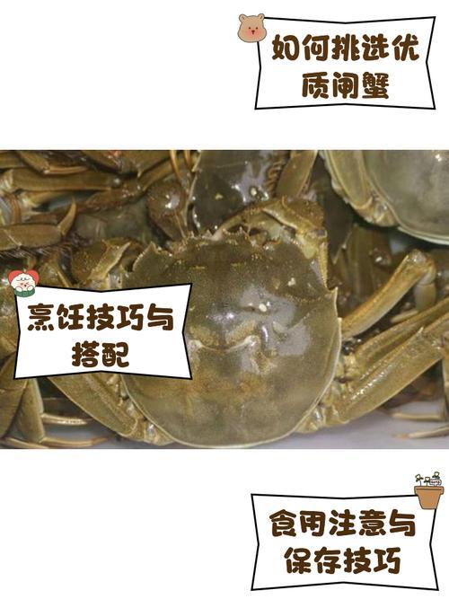 夢見好多螃蟹