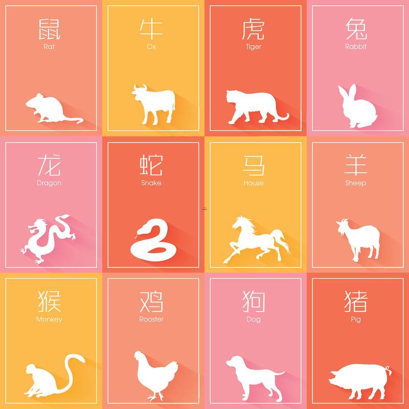 生肖排位