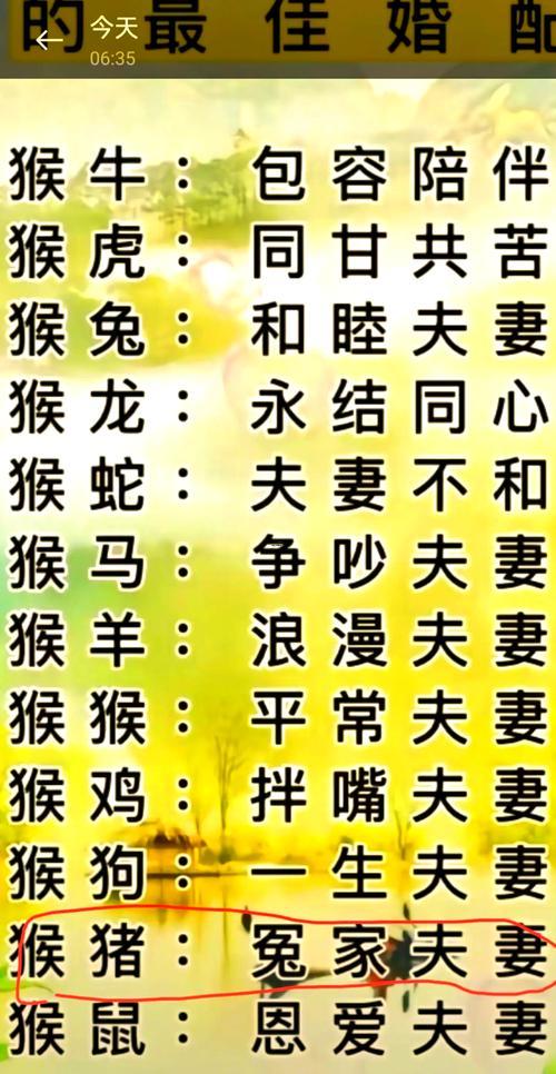 男兔女猴