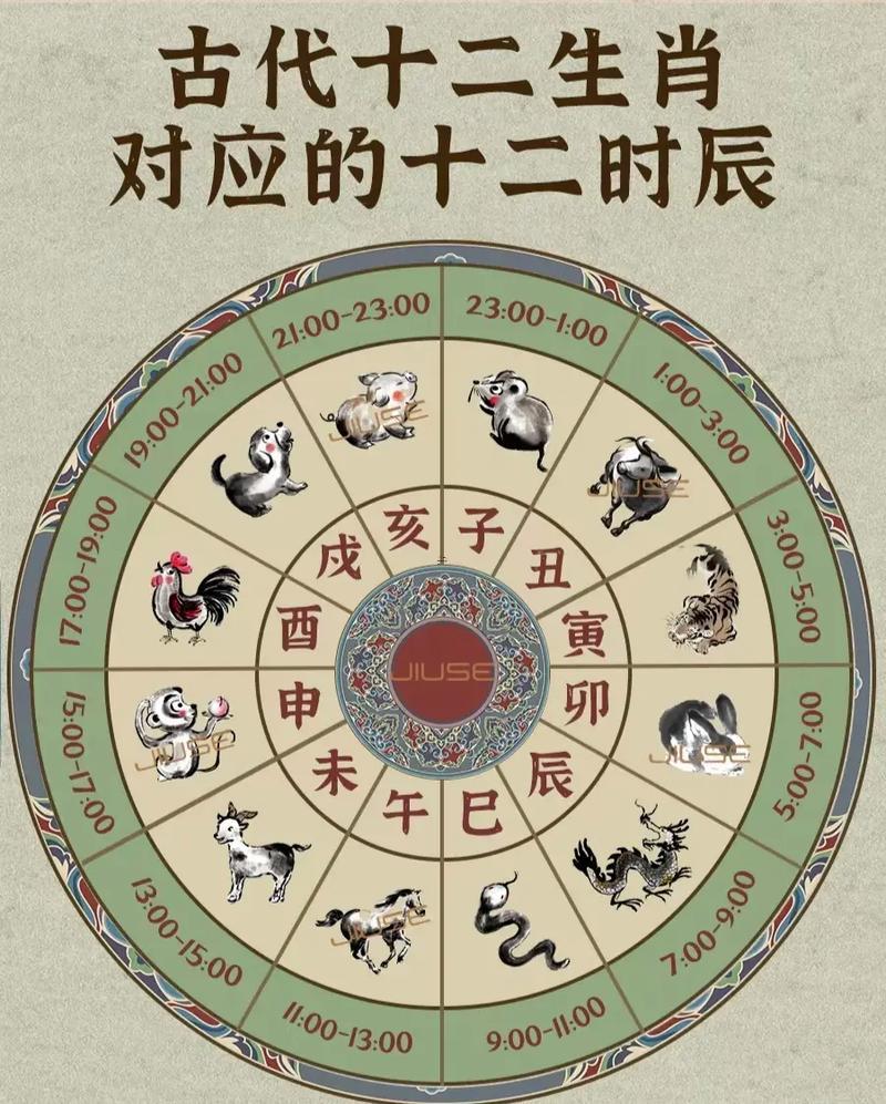 哪個(gè)生肖最佳
