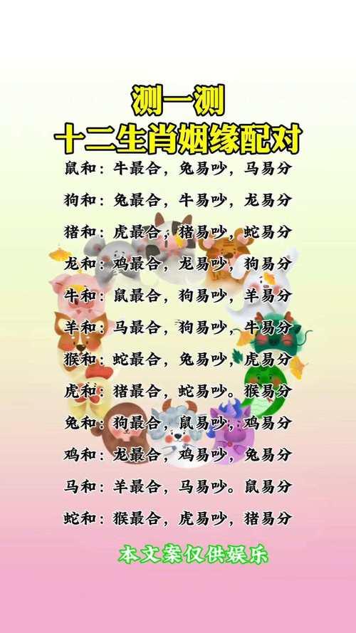 鼠男豬女相配嗎