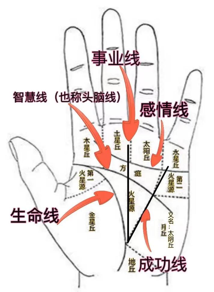 掌紋的秘密