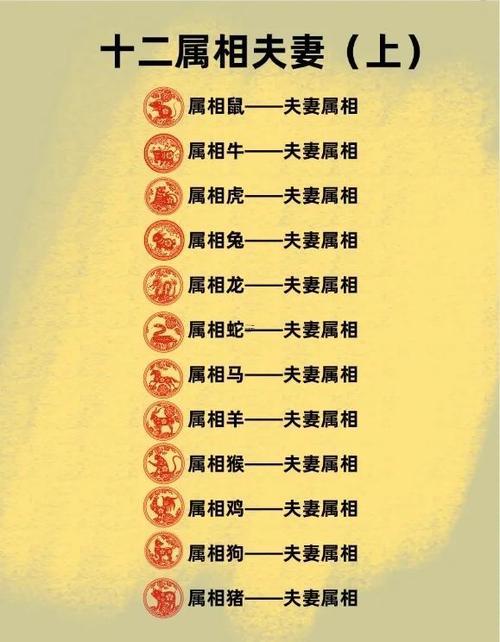 牛與虎的屬相合不合
