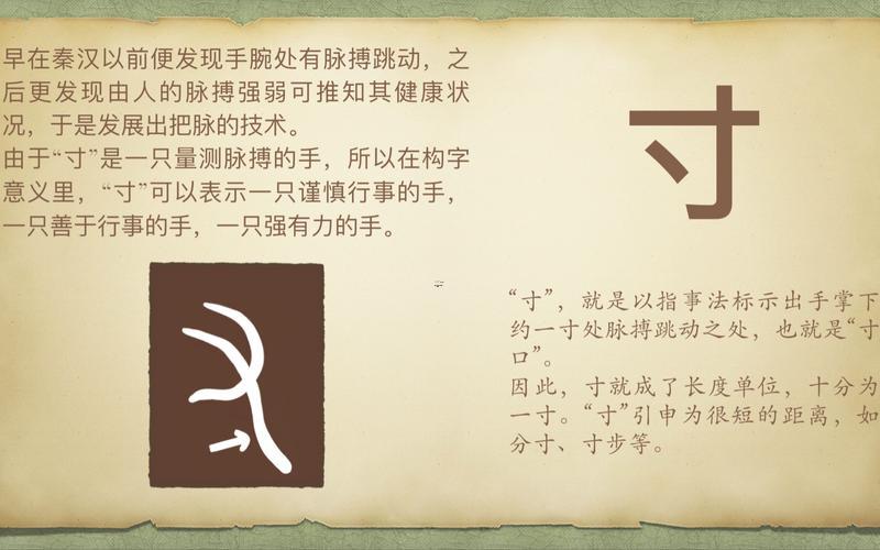 有寸的字