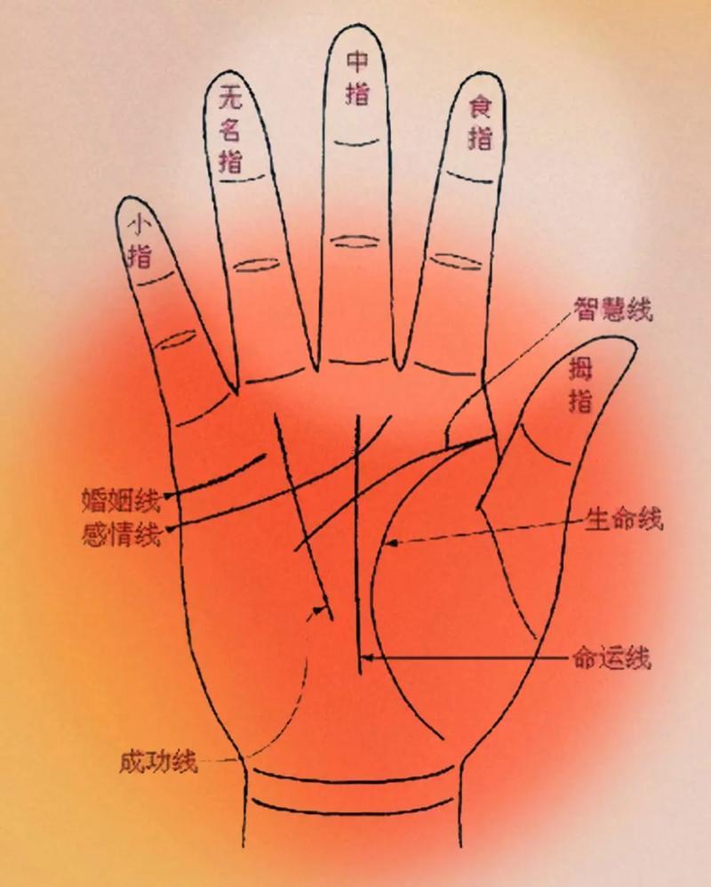 手相有科學(xué)依據(jù)嗎