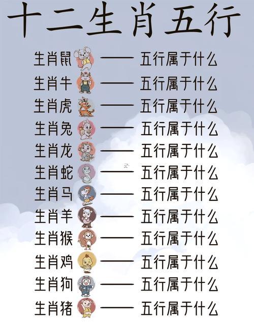 屬豬五行屬何事