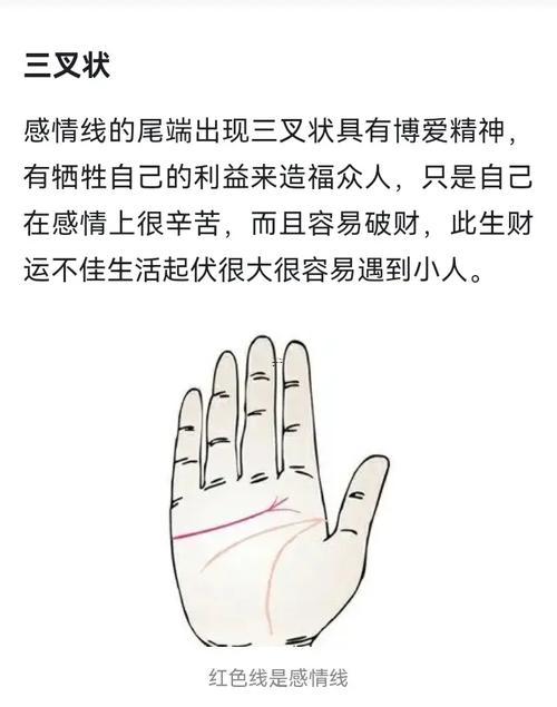 感情線是哪一條