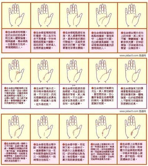 生命線怎么看