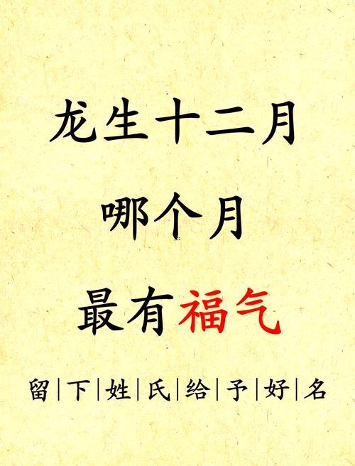 屬龍哪年出生