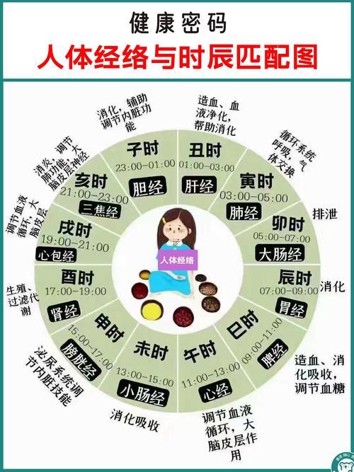 7點(diǎn)至9點(diǎn)是什么東西東西時(shí)辰