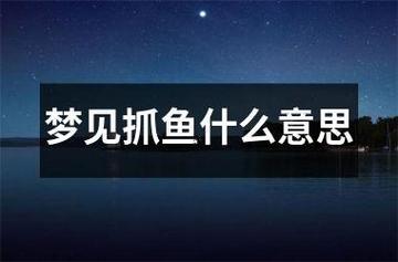 夢見抓到魚