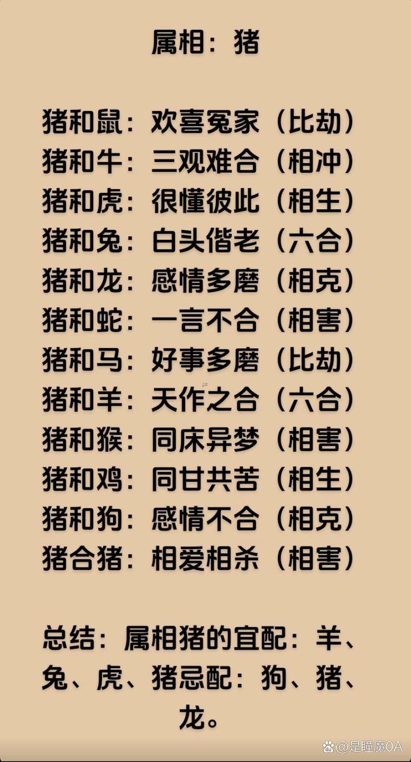 屬豬婚配