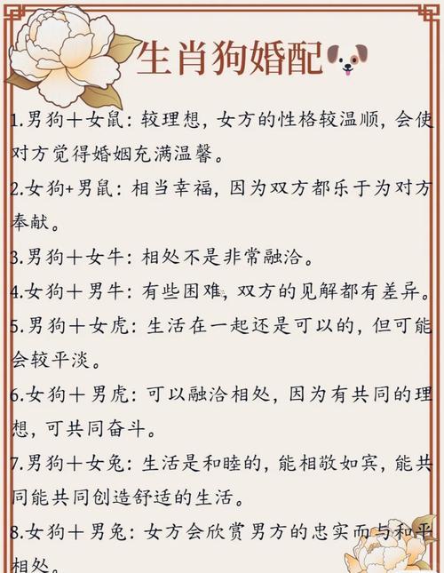 狗跟羊相配婚姻怎么辦