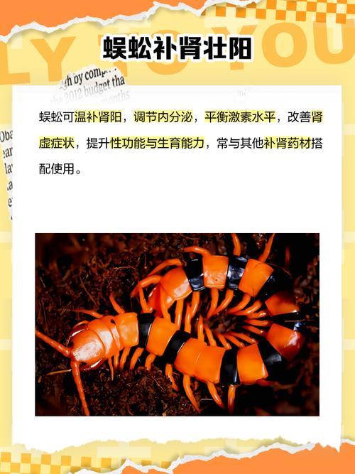 做夢夢到蜈蚣