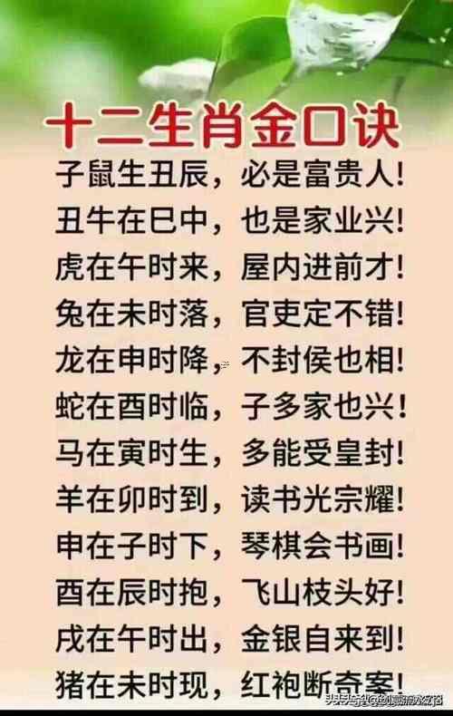 酉時(shí)出生啥屬相最佳