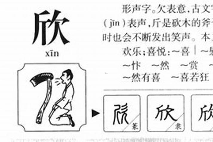 欣字五行