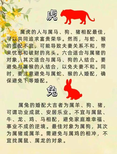 97年牛與98虎年配嗎