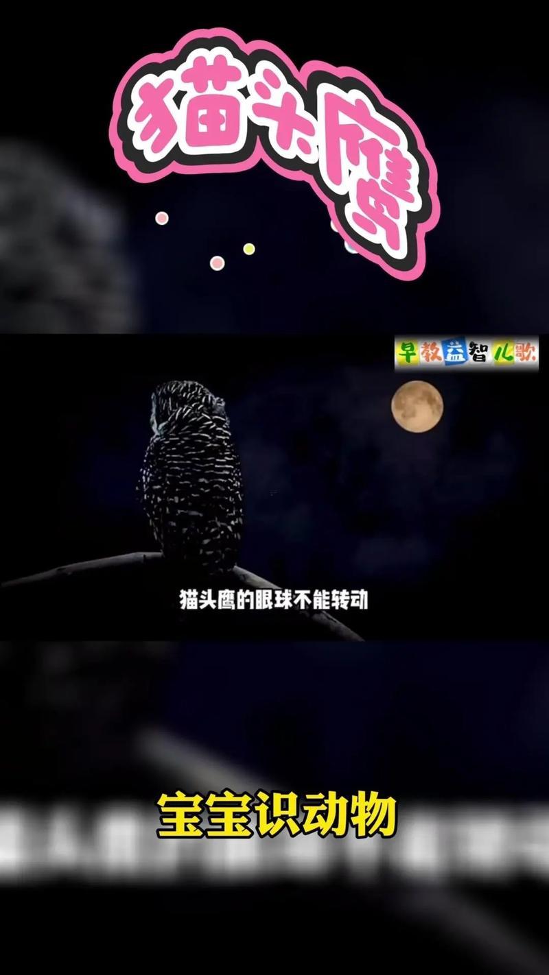 夢到貓頭鷹