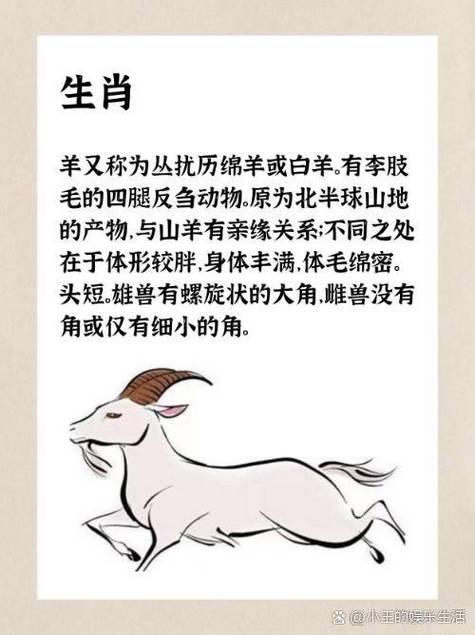 三頭六臂打一生肖