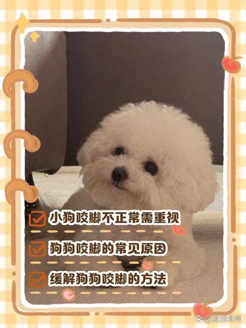 夢見被狗咬腳