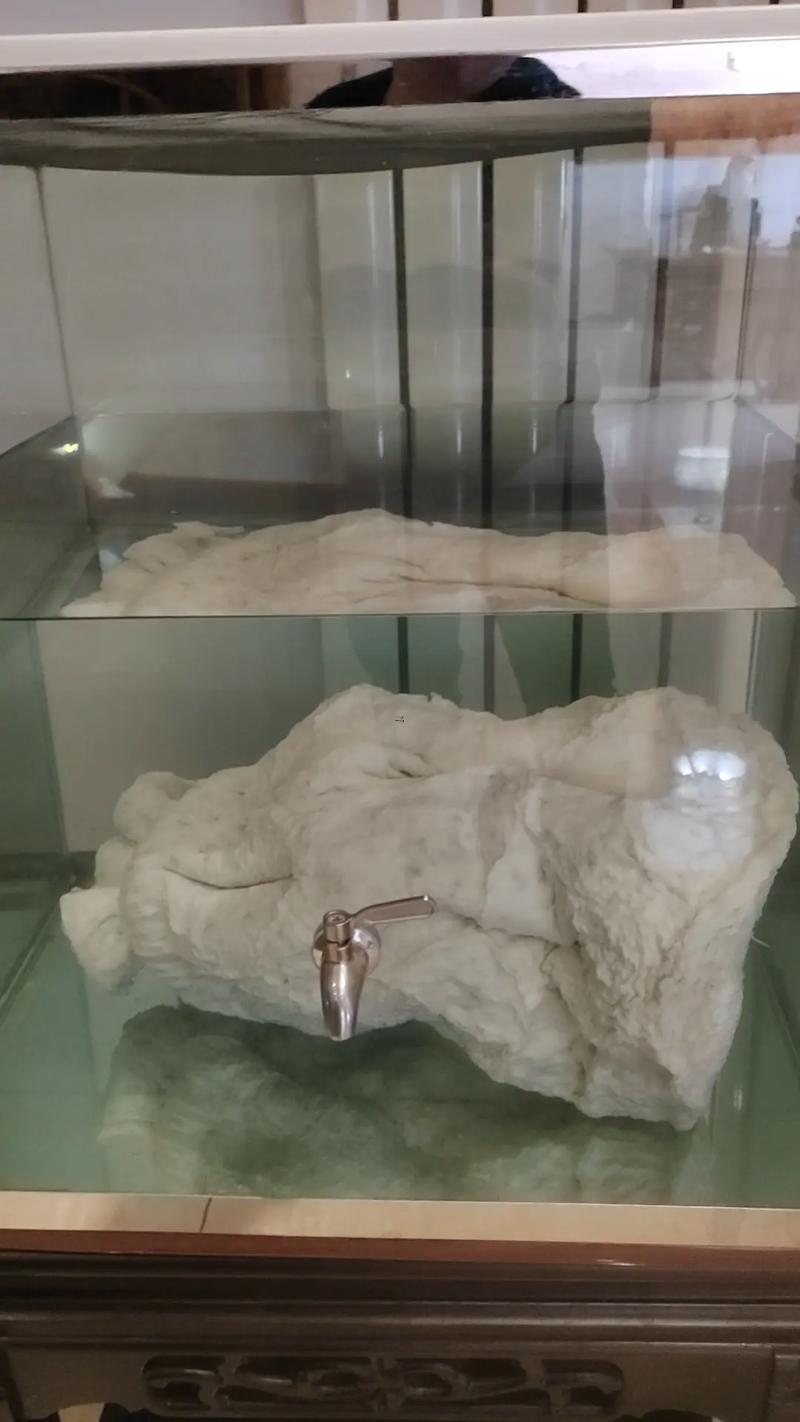 何事東西叫太歲