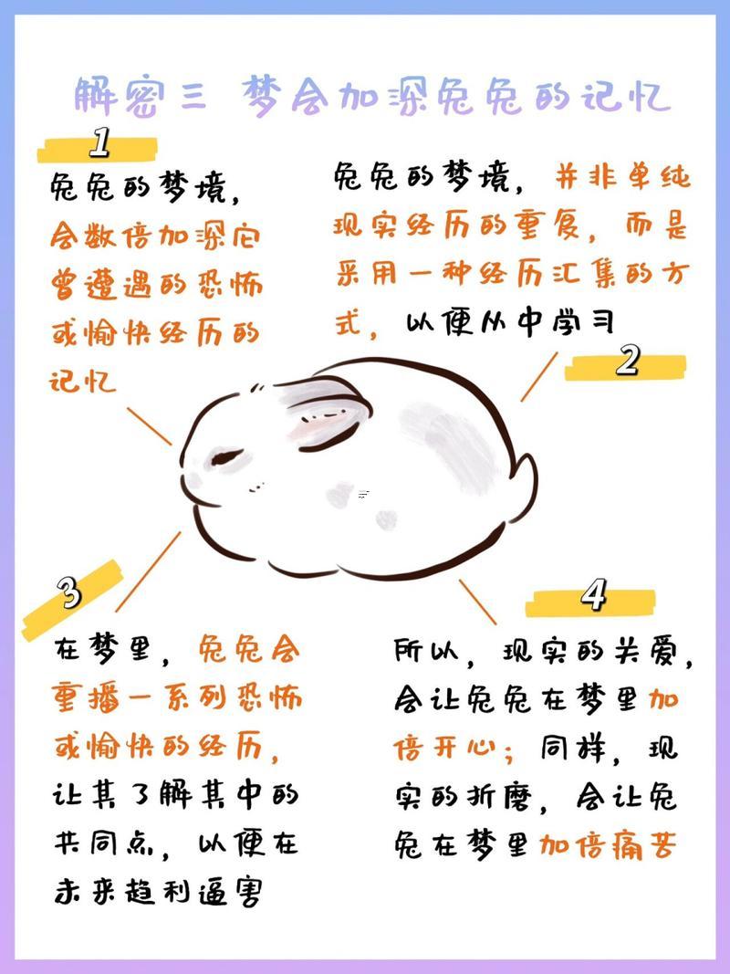 夢見一窩兔子
