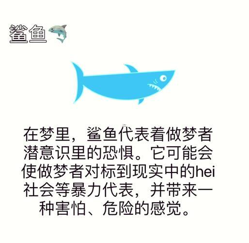 夢(mèng)見(jiàn)各種動(dòng)物