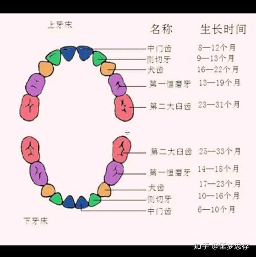 做夢(mèng)掉牙是怎么回事