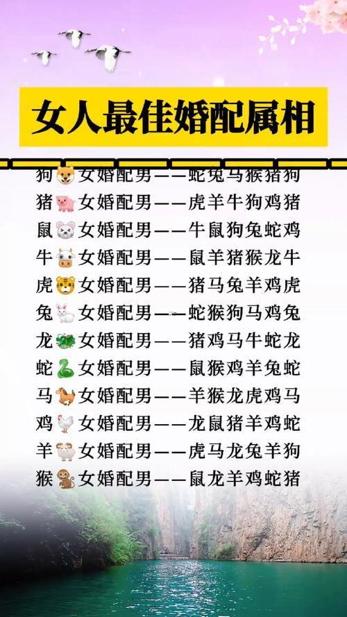 男羊女豬