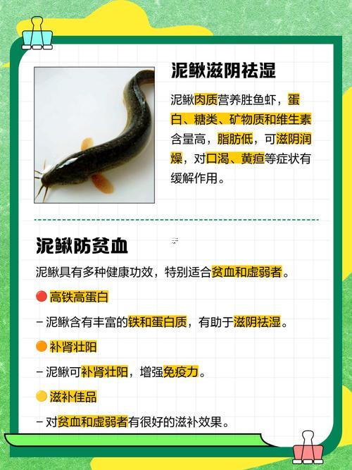 夢到泥鰍