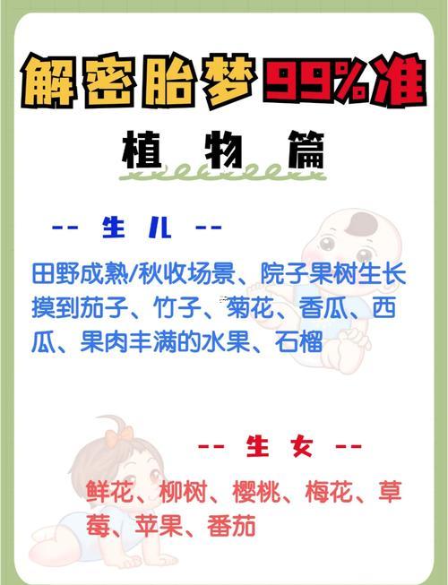 夢(mèng)見(jiàn)土豆