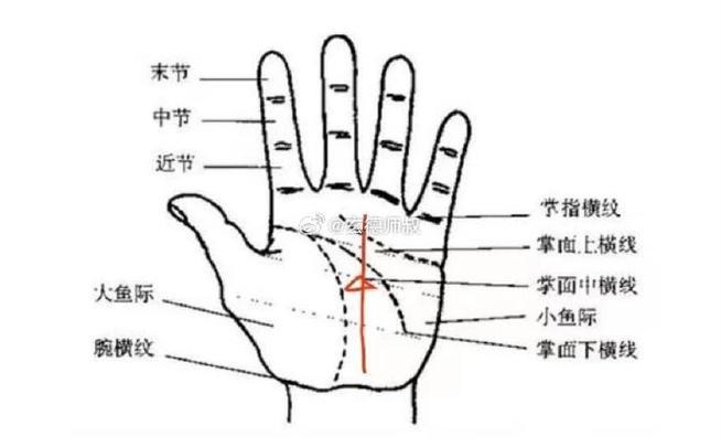 掌紋圖解