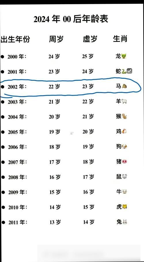 2002年說(shuō)實(shí)話多少歲