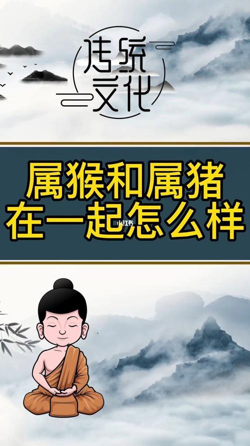 屬豬合屬猴的合不合