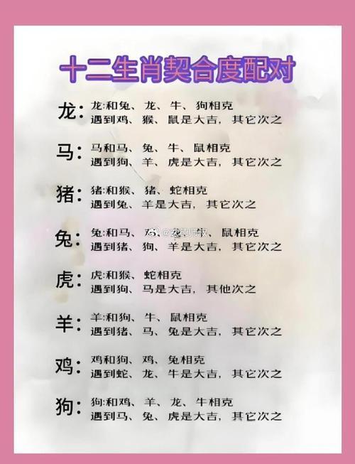 虎同猴相沖嗎