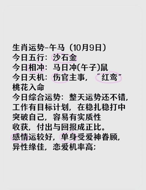 2013年什么命