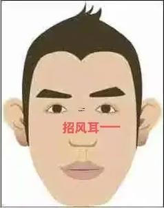 招風耳面相