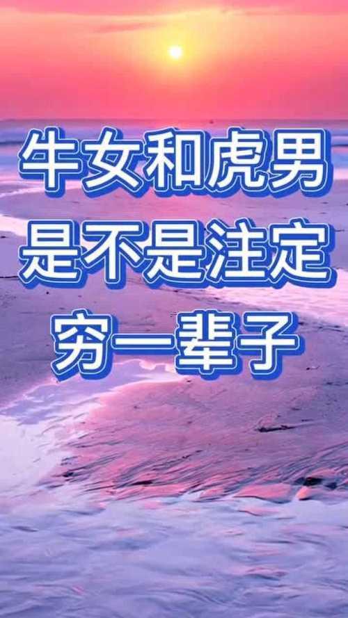 牛與老虎合不合