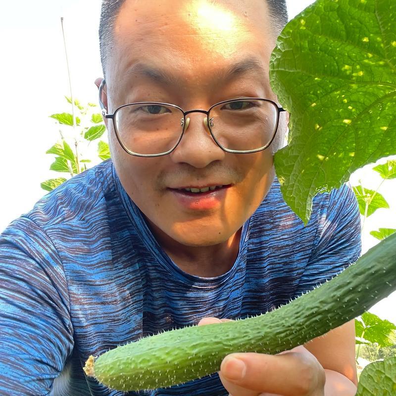 夢見摘黃瓜
