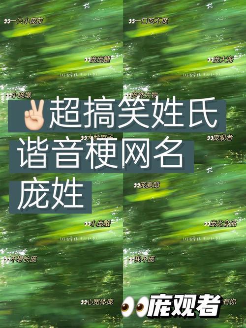 龐姓男孩其實(shí)名字大全