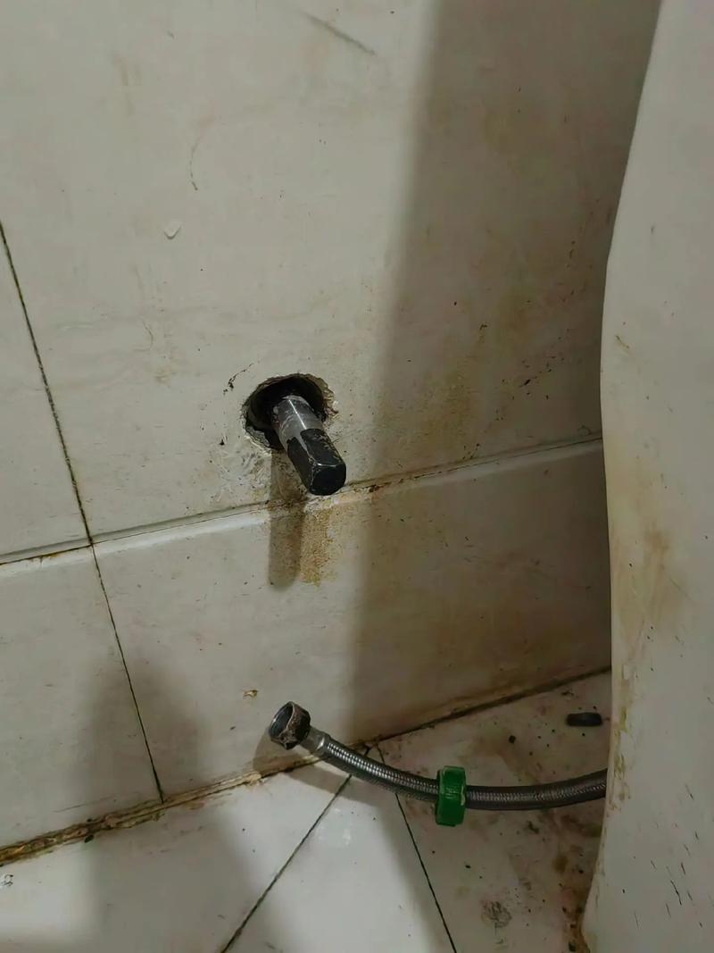 夢到廁所堵了