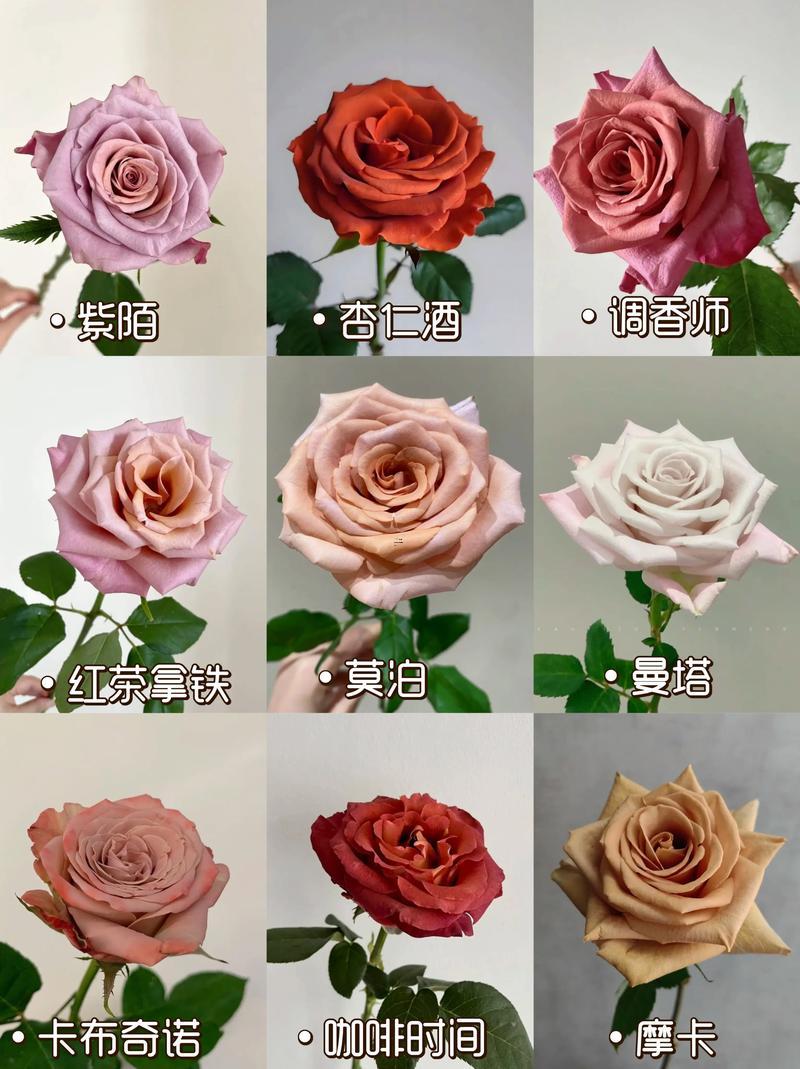 以花為名的名字